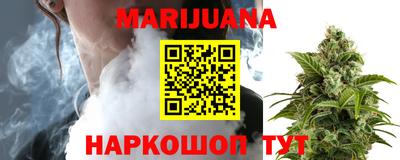 мяу мяу мука Аргун