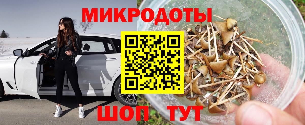 Галлюциногенные грибы Psilocybine cubensis Верхняя Пышма