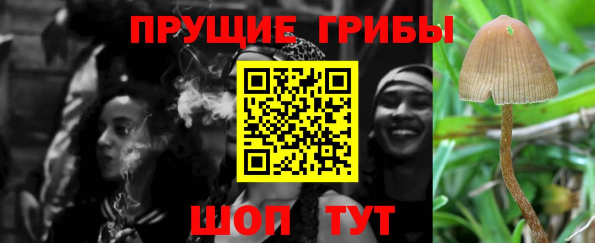 Галлюциногенные грибы GOLDEN TEACHER  Псилоцибиновые грибы Psilocybine cubensis  Верхняя Пышма  Вход с VPN 